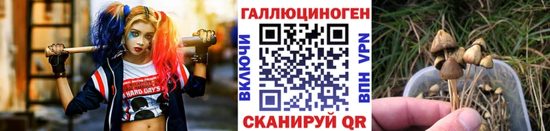 Псилоцибиновые грибы GOLDEN TEACHER Купить где Гремячинск